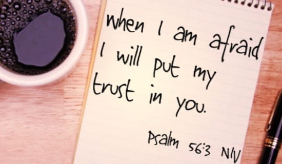 free-psalm-56-3-niv-ecard-email-free-personalized-scripture-ecards-online