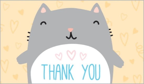 17385-thank-you-cat.jpg