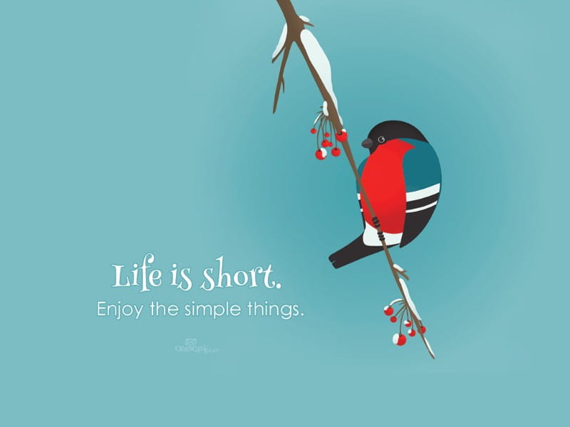 Life if Short