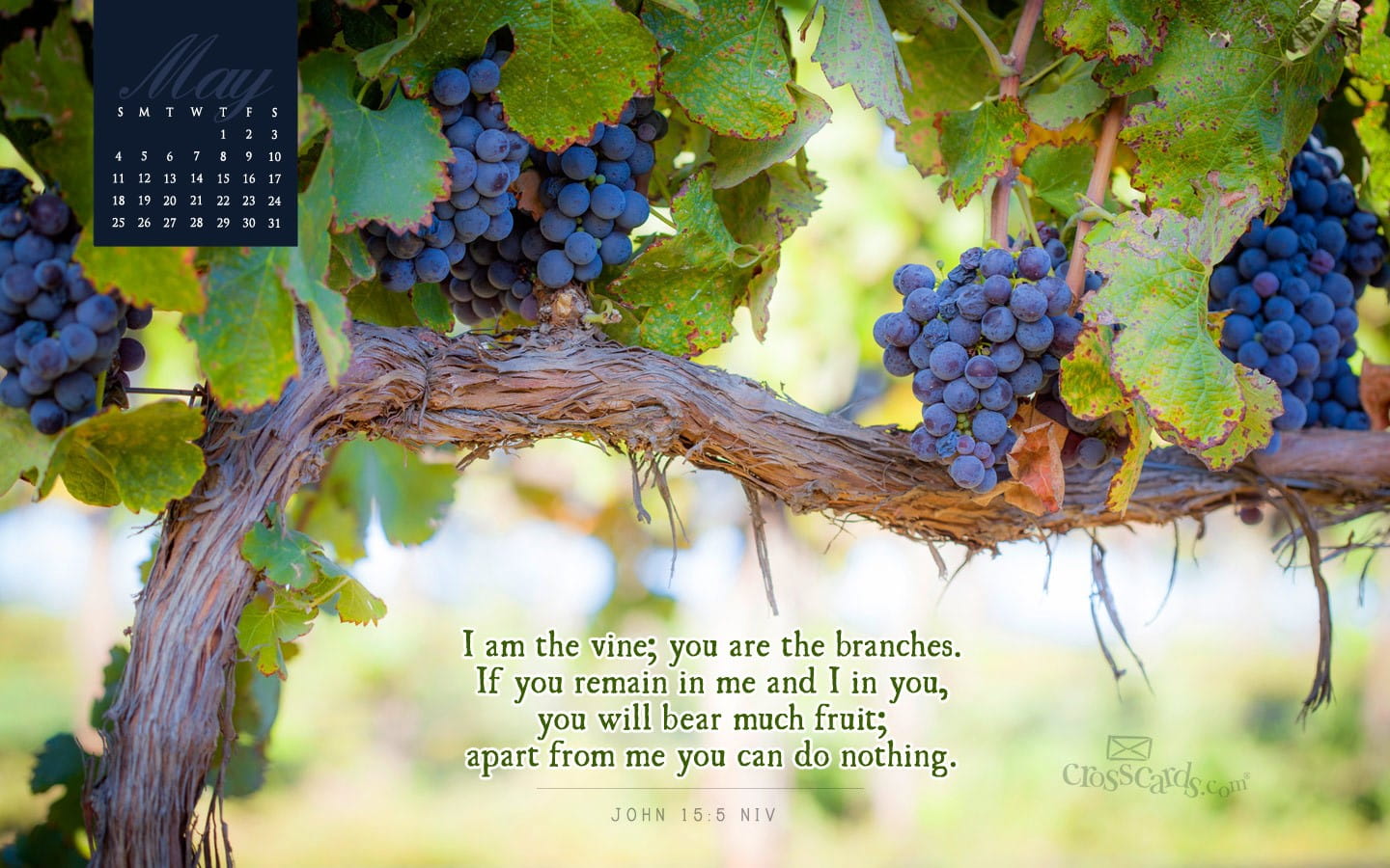 May 2014 Vine and Branches Desktop Calendar Free May Wallpaper