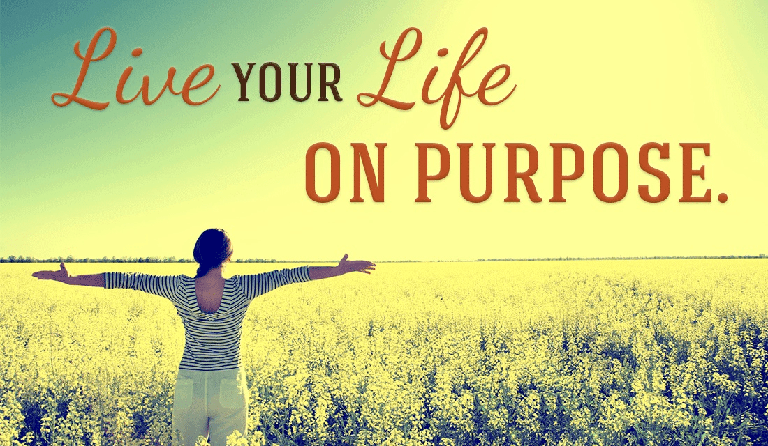 How To Have Purpose In Life