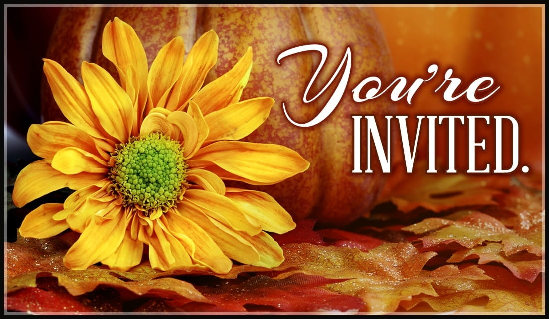 Free You're Invited eCard - eMail Free Personalized Invitations Cards