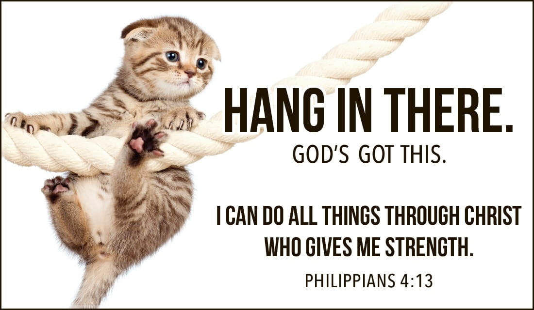 hang in there cat clipart - photo #9