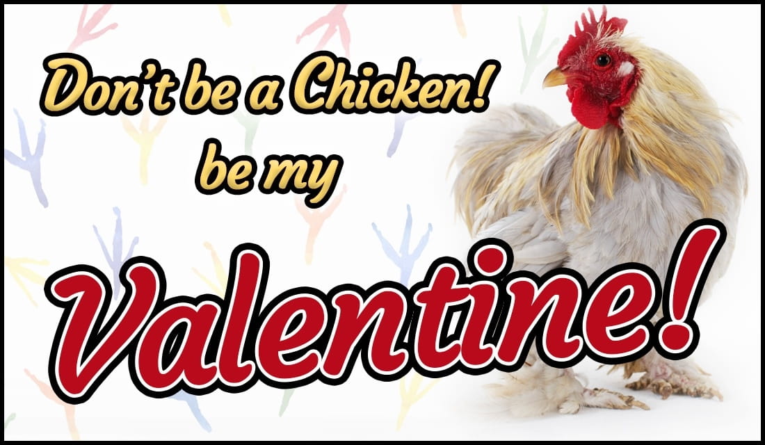 Don't Be a Chicken! Be My Valentine eCard Free Valentine's Day Cards Online