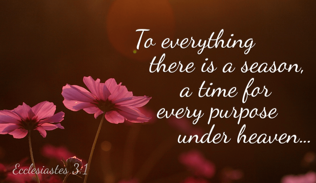 God has His perfect timing for everything, sometimes patience is needed