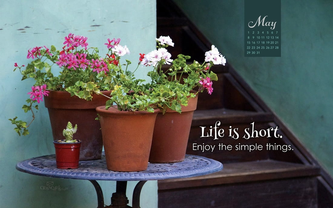 May 2016 - Life Is Short