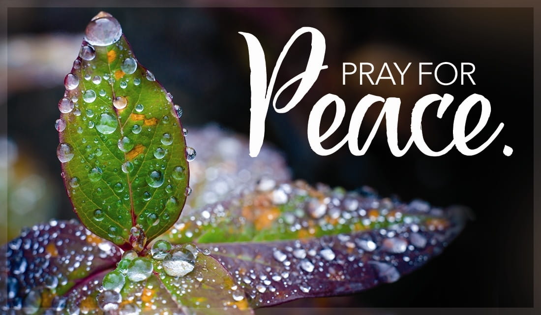 Free Pray for Peace eCard - eMail Free Personalized Care