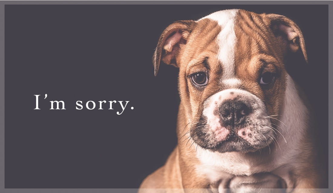 free-i-m-sorry-ecard-email-free-personalized-oops-and-sorry-cards-online