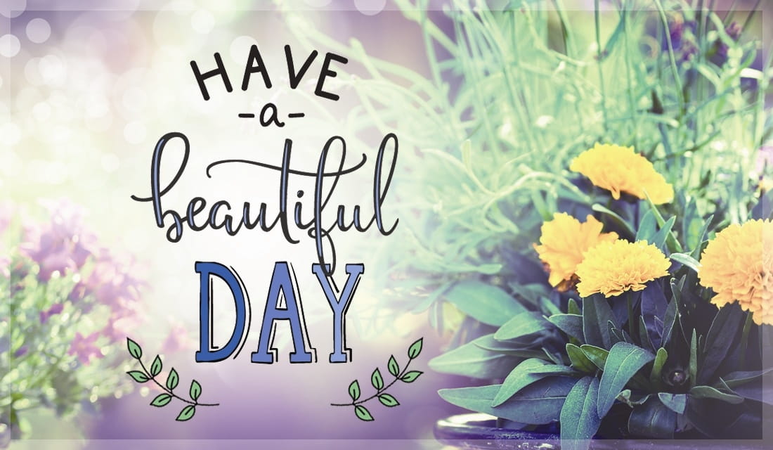 Free Have a Beautiful Day eCard - eMail Free Personalized Care