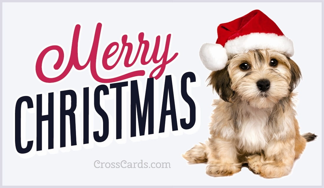 Merry Christmas eCard - Free Christmas Cards Online