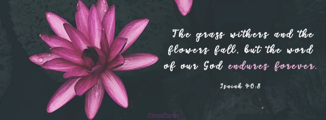 Download Isaiah 408  Christian Facebook Cover & Banner