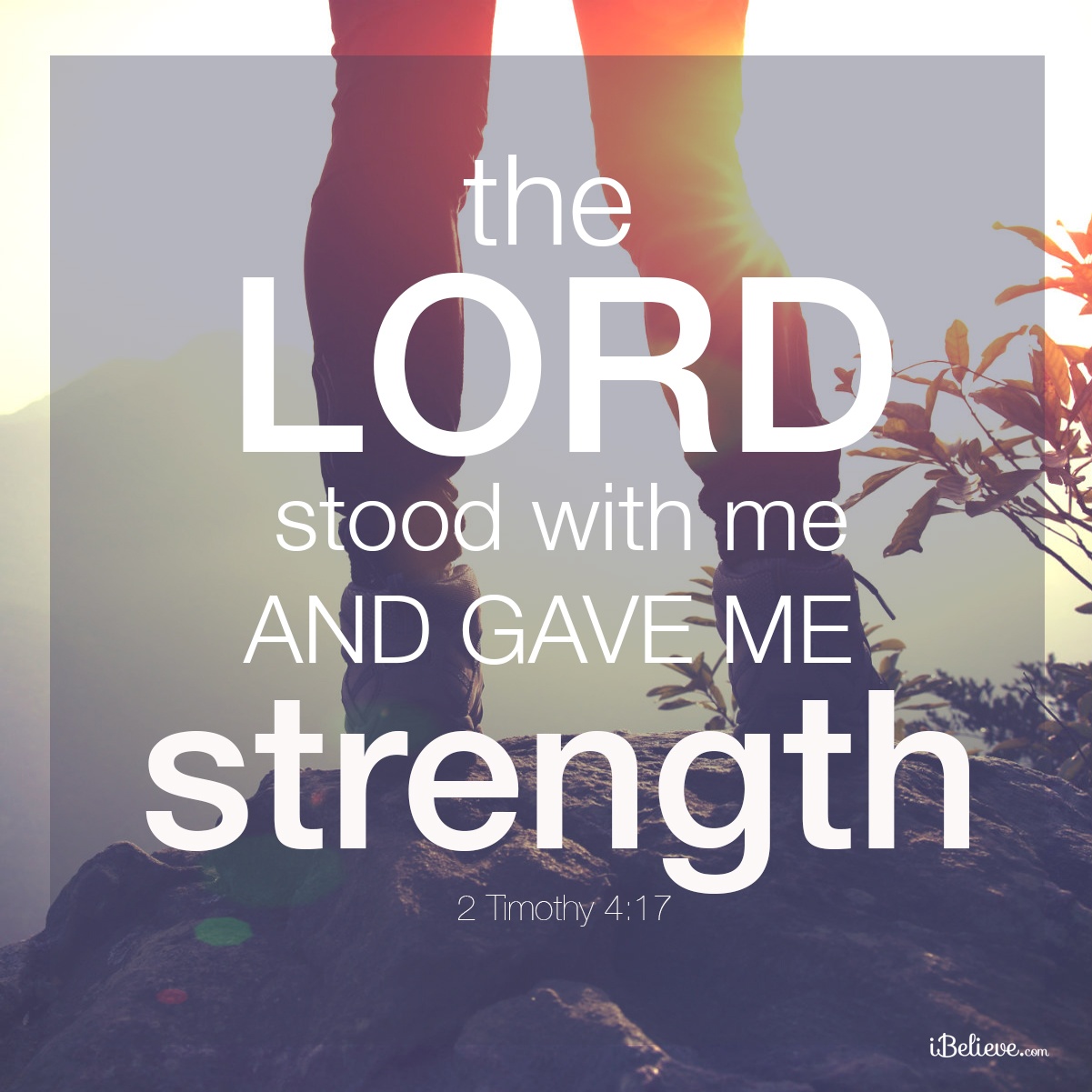 the-lord-stood-with-me-and-gave-me-strength-your-daily-verse