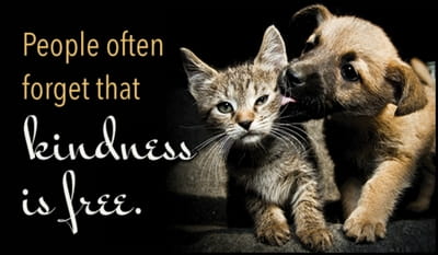 Kindness is Free