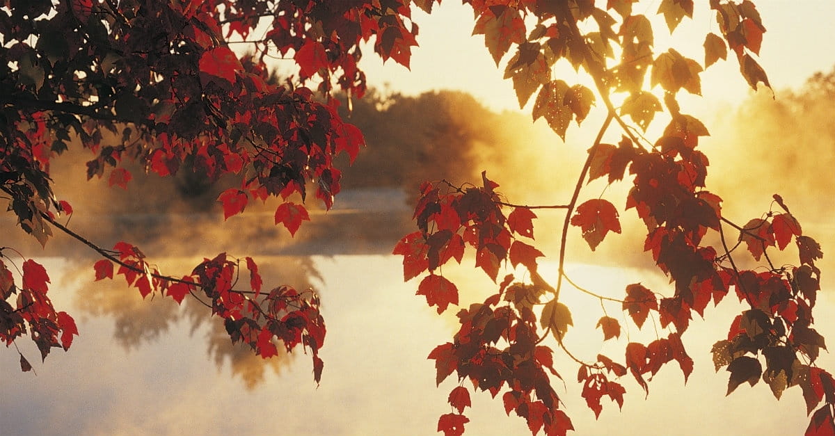 What Autumn Teaches Christians about Life, Death, and God