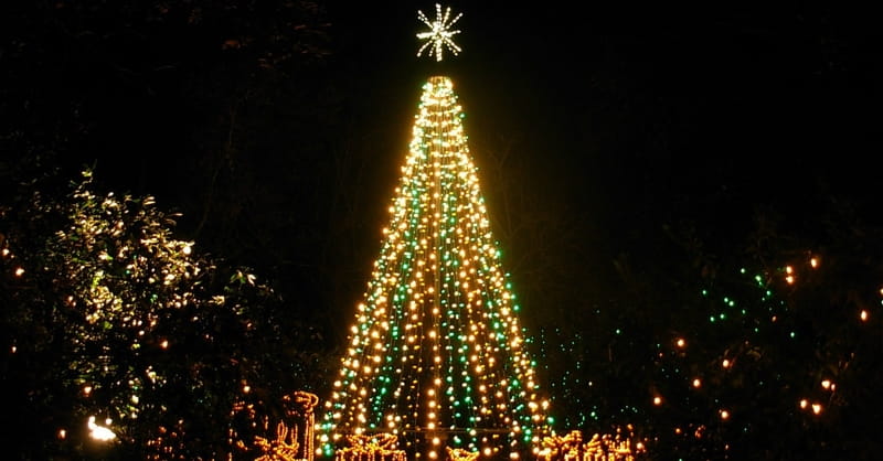 School Superintendent Bans Use of the Word 'Christmas' in Annual Flyer