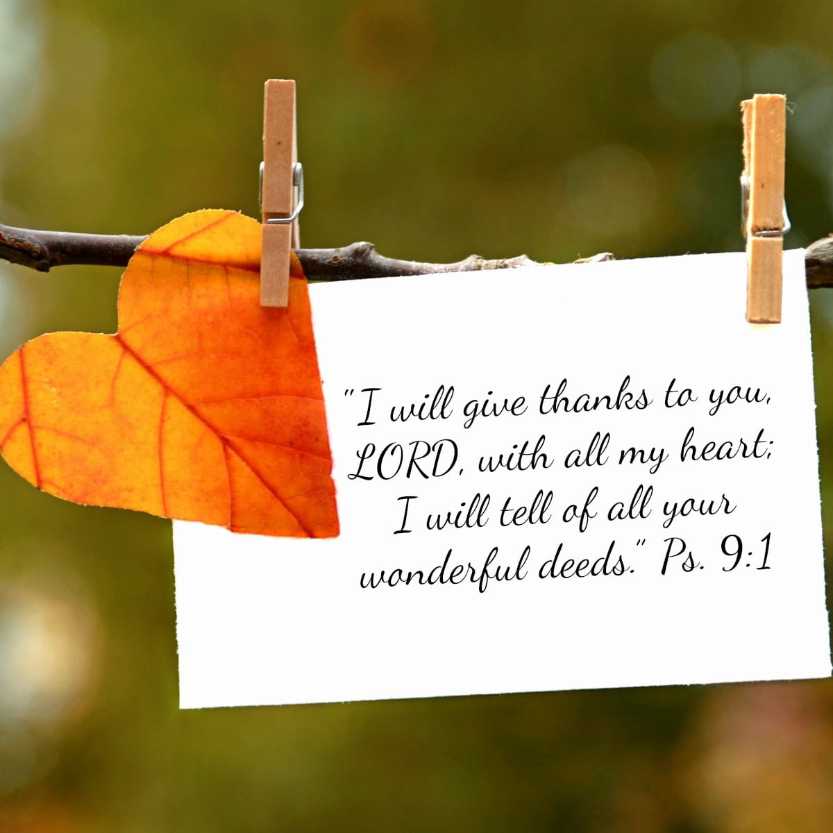 The Power of Gratitude: 21 Verses of Thanks to God - Debbie McDaniel