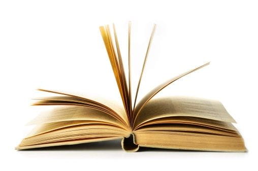 novel