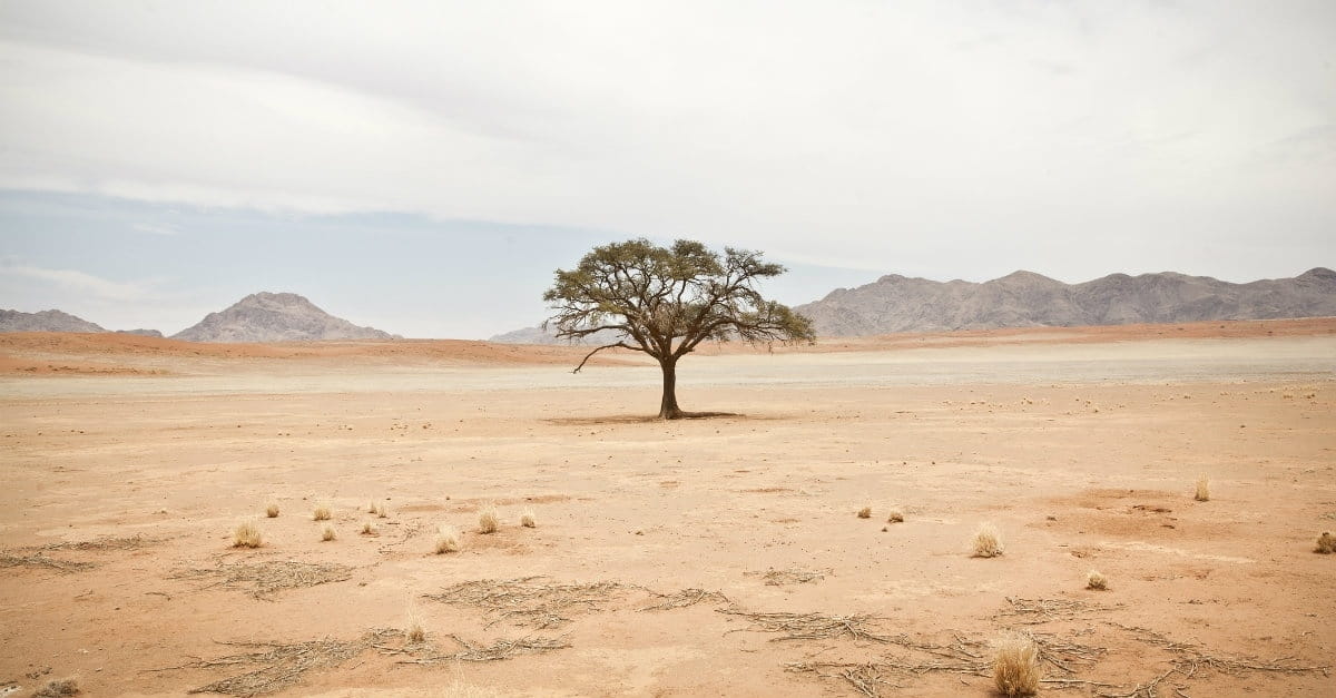 How to Survive Your Spiritual Desert