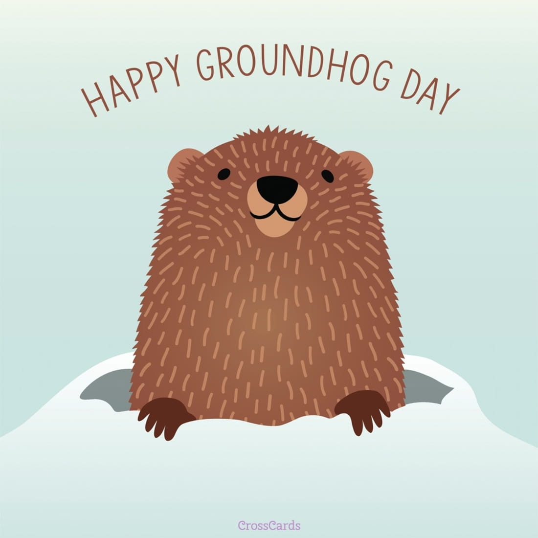 Free Happy Groundhog Day! (2/2) eCard eMail Free Personalized
