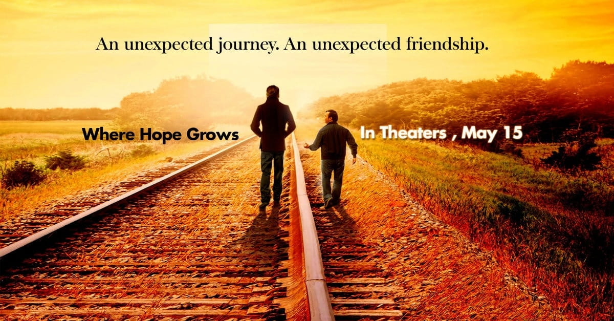 It's No Real Surprise <i>Where Hope Grows</i>