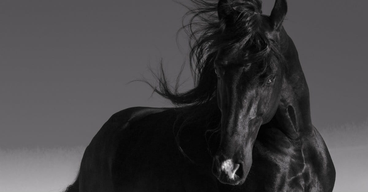 What are the 4 Horses of the Apocalypse and Why Do They Matter?