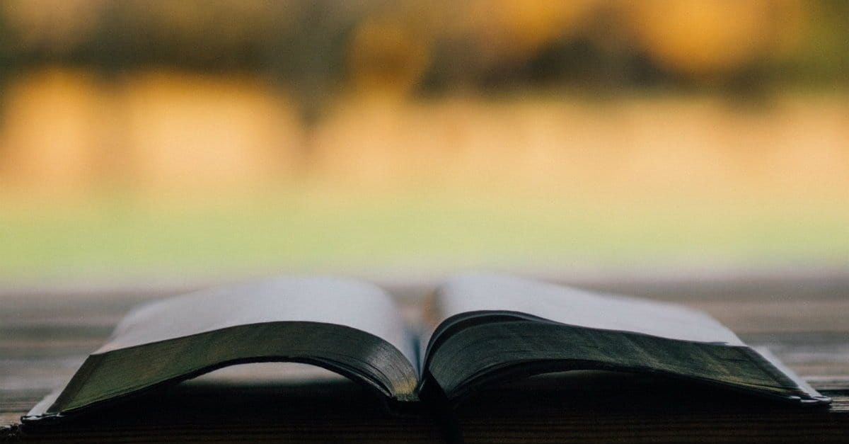 why-you-need-to-read-the-whole-bible-every-year-bible-study