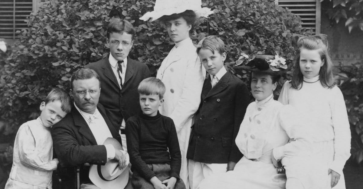 President Theodore Roosevelt and Veterans Day