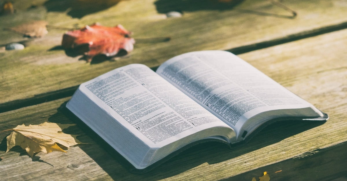 10 Encouraging Psalms for Thanksgiving