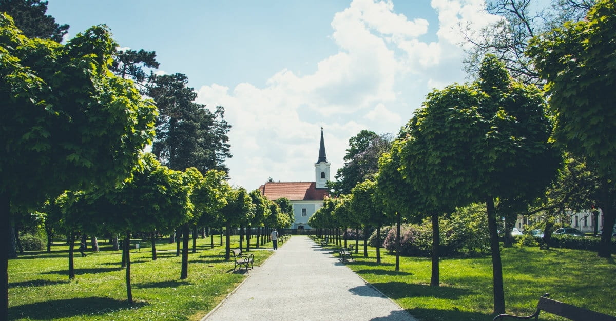 To Go, or Not to Go… to Church?