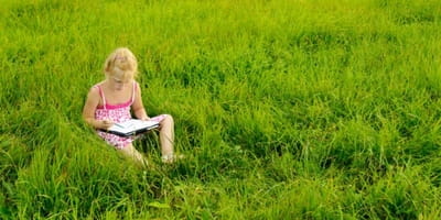 How to Create a Nature Journal