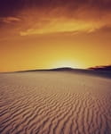 The Good Book Blog