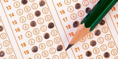 How to Navigate the Jungle of Standardized Testing