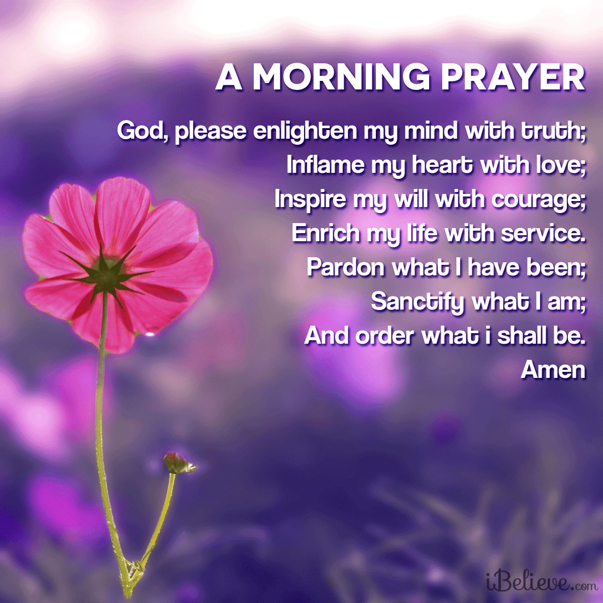 audio divine office morning prayer for today