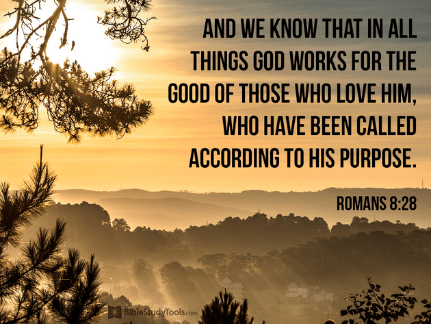 romans 8