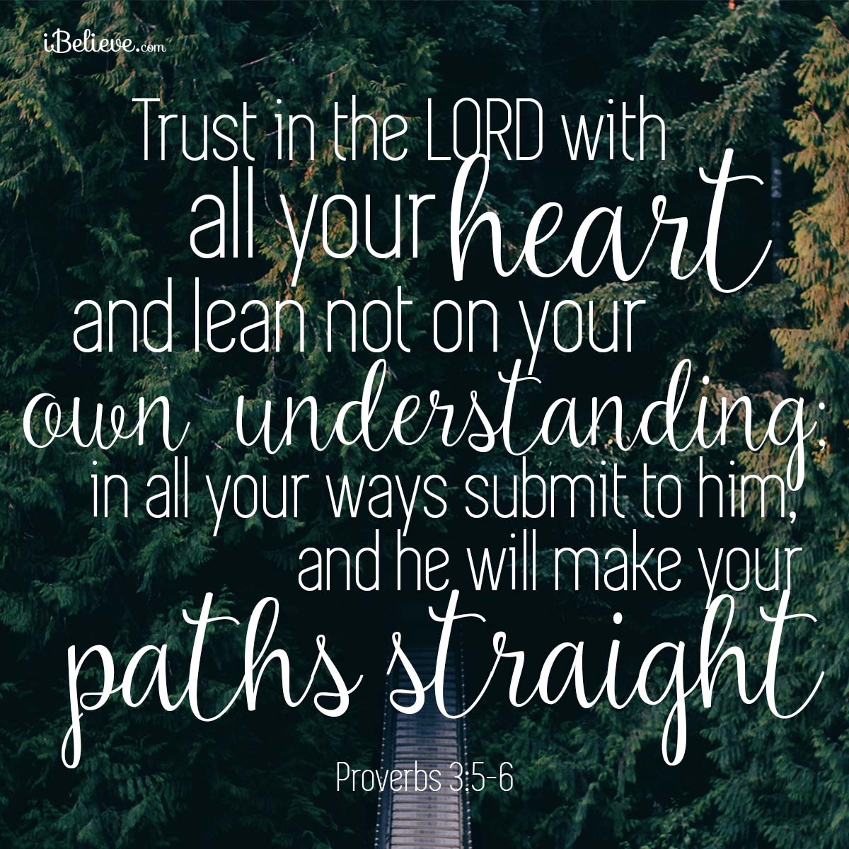 he-will-make-your-paths-straight-your-daily-verse