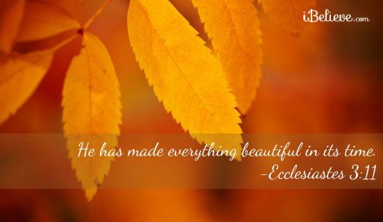 He Has Made Everything Beautiful - Your Daily Verse