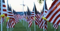 5 Things to Know about Veterans Day