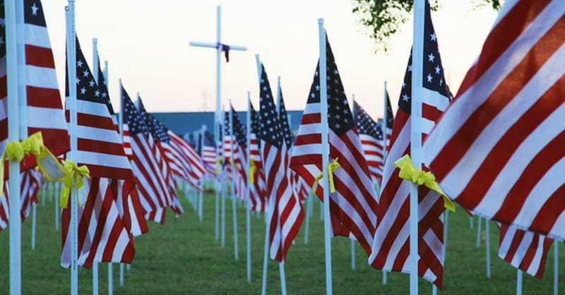 5 Things to Know about Veterans Day