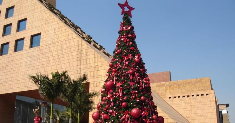 #MyTreedom Campaign Raises Awareness of Persecution and Right to Celebrate Christmas