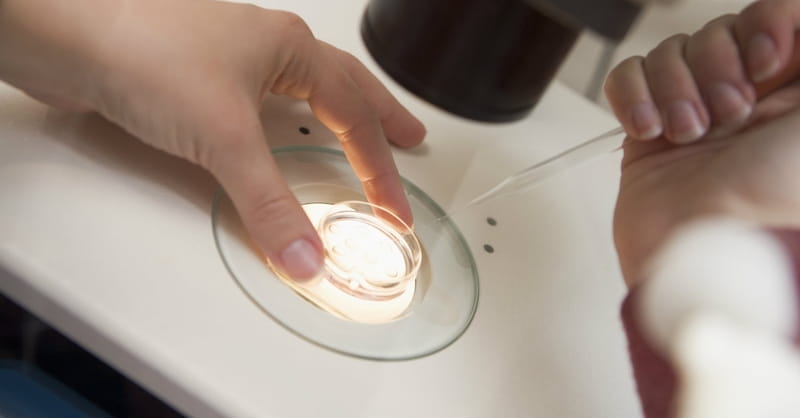 International Furor Erupts over Embryo Jewelry Business