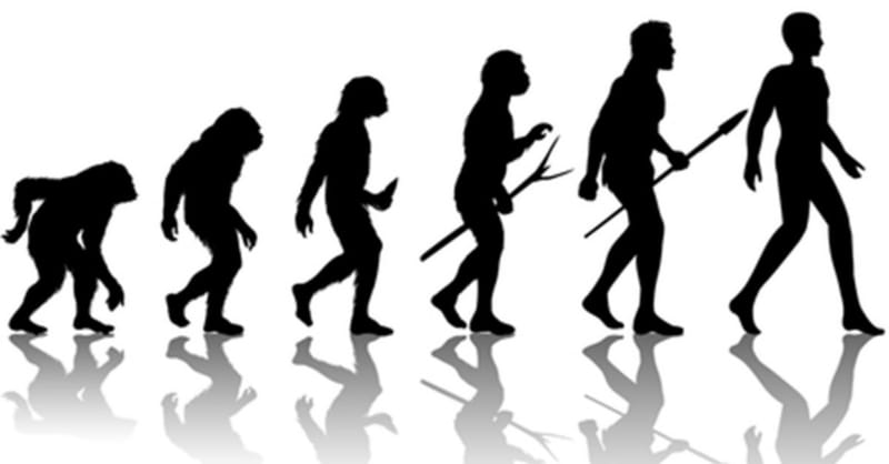 Why Some Evangelicals Changed Their Minds about Evolution