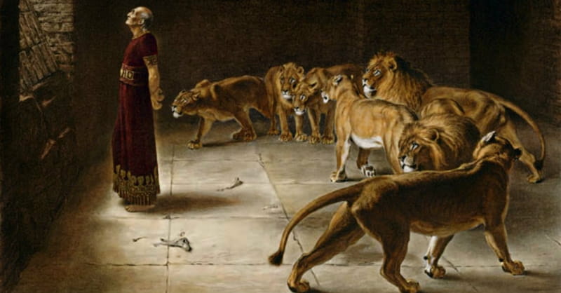 Egypt: Christian Convert Miraculously Unharmed by Vicious Dogs