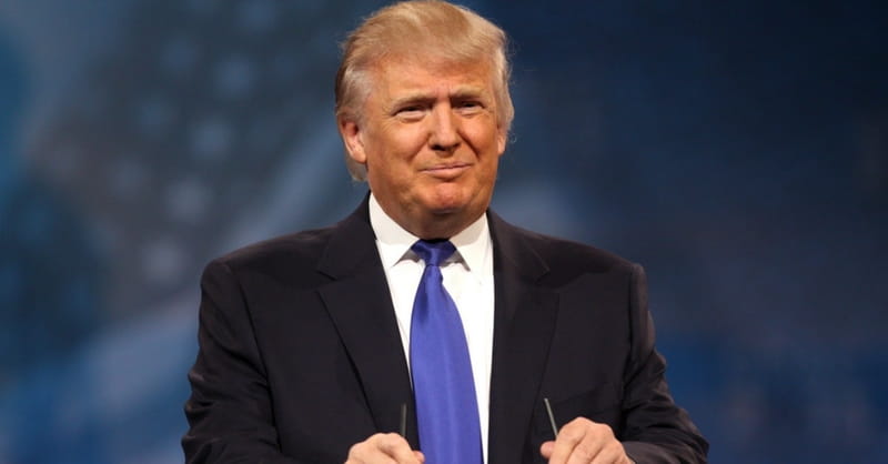Fear in the Age of Trump: My Analysis