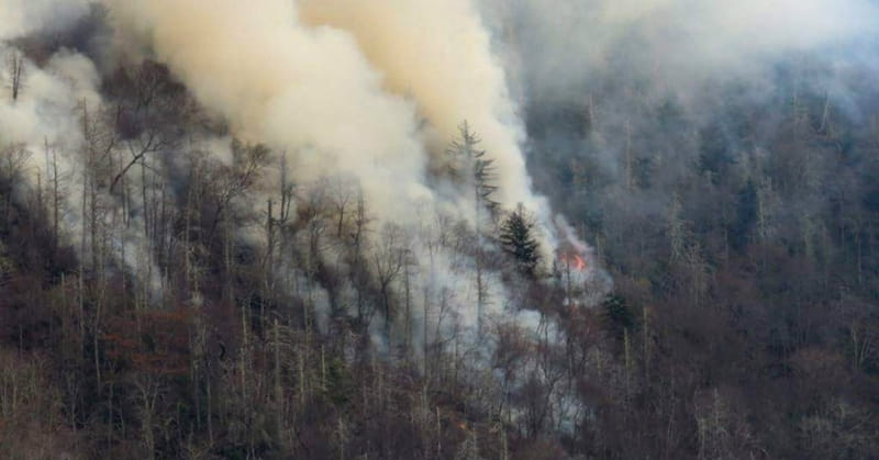 Dollywood Employee Finds Burned Bible Page after Wildfires