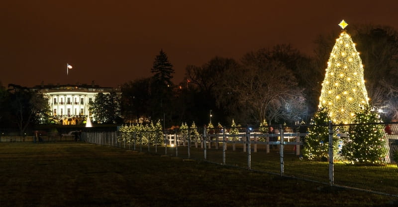 Washington D.C. Celebrates Christmas with National Christmas Tree Lighting Ceremony