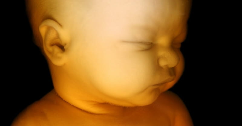 Alabama Supreme Court Rules Unborn Baby is a Person 