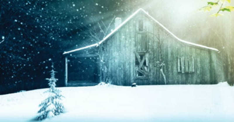 The Shack — The Missing Art of Evangelical Discernment
