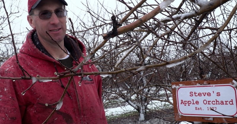 Farmer Ousted from Michigan Market over Same-Sex Marriage Views