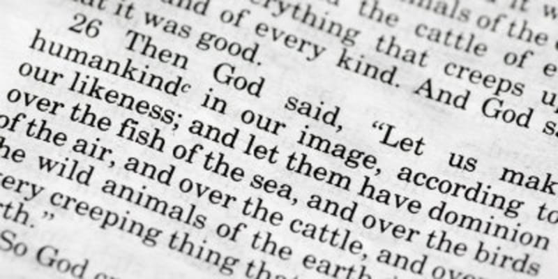 Bryan College Determines Whether to Support 'Biblical Evolution'