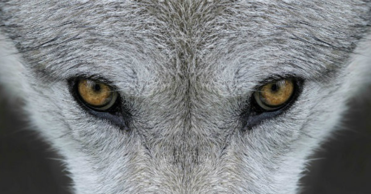 What is the Best Way to Protect Yourself against False Teaching?